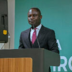 Gov’t announces free rollout of visas for all participants of 2025 Diaspora Summit