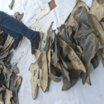 48 suspected cybercrime operatives arrested in Dawhenya night operation- Sam George