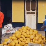 Independent Power Generators commend government over settlement of legacy energy arrears