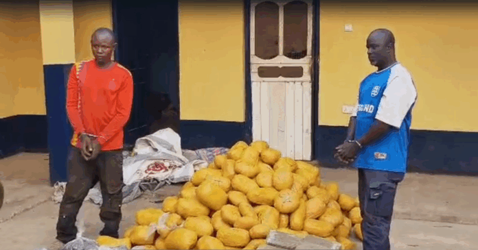 Police intercept bus with 396 suspected cannabis parcels in Yeji