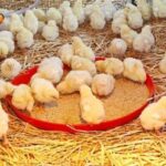 Kennedy Agyapong has what it takes to lead Ghana – Kwaku Kwarteng