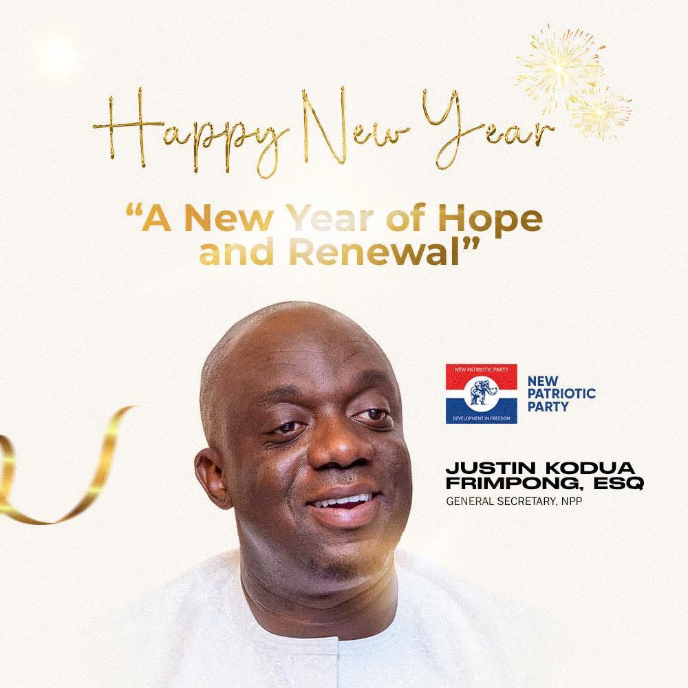 NPP calls for unity and renewal in new year message after 2024 election defeat