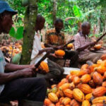 Berekum West MP Reacts to Burkina Faso Tragedy, Calls for Reduced Import Dependence