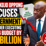 Patrick Boamah Criticizes Mid-Year Budget, Raises Concerns Over Cocoa Farmers and Government Priorities
