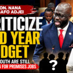 Kojo Oppong Nkrumah Accuses Government of Under-Executing 2026 Budget by GH¢30 Billion