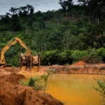 COCOBOD Lists GH¢16.3bn Domestic Notes Programme to Finance Cocoa Purchases